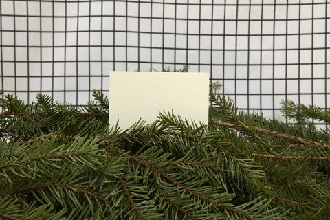 Cube among fir branches on a grid background Stock Photos