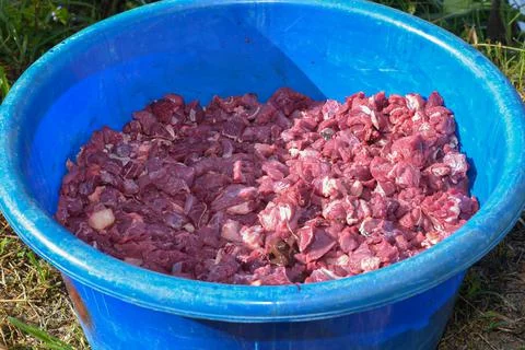 Cube cow meat Foto stock