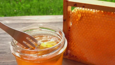 Cube of delicious blue cheese on fork is dipped into fresh honey in a glass jar Stock-Footage 208923150
