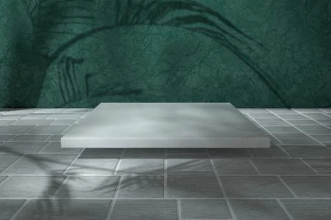 Cube platform with plant shadows on the green wall, 3d rendering. Stock Illustration