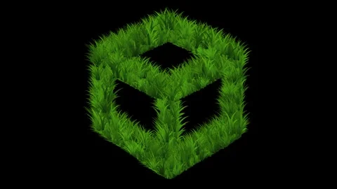 Cube shape with growing green grass effect on plain black background Stock Footage 346273803