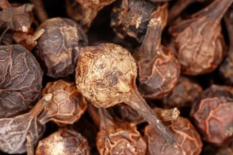 Cubeb pepper berries macro close up detail Stock Photos