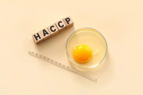 Cubes with abbreviation of HAZARD ANALYSIS AND CRITICAL POINTS with raw egg o Stock Photos