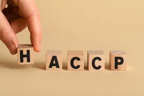 Cubes with abbreviation of HAZARD ANALYSIS AND CRITICAL POINTS and human hand Stock Photos