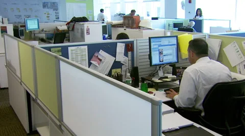 Cubicle Work Enviroment Stock Footage