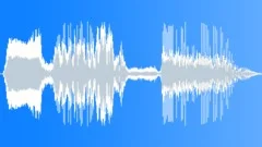 Cuckoo Classic Cartoon SoundSound Effect
