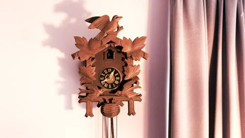 Cuckoo Clock Close up Video stock 287272537