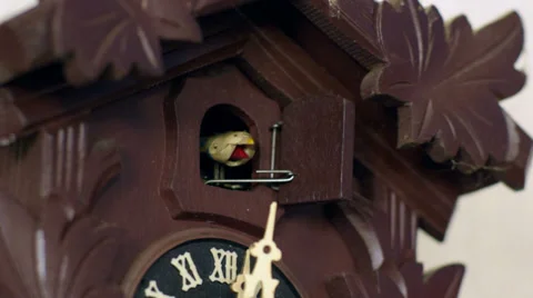 Cuckoo clock cuckoos 12 times 11345 Stock Footage 37861255