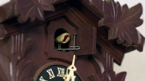 Cuckoo clock cuckoos 12 times w weights intercut 11350 Stock Footage
