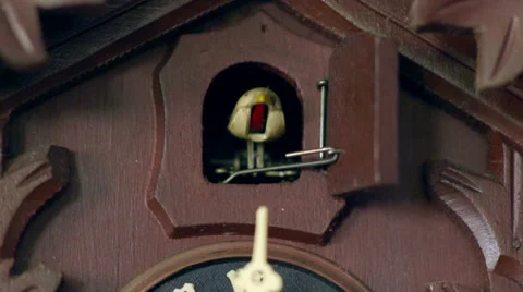 Cuckoo clock cuckoos one time 11347 Stock Footage 37863807