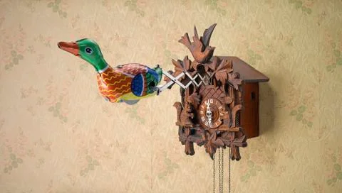 Cuckoo Clock with tin duck Stock Photos