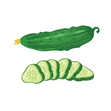 Cucmber cut isolated Stock Illustration