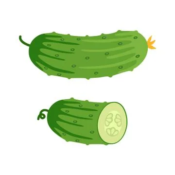 Cucumber and half of cucumber. Vector illustration. Stock Illustration