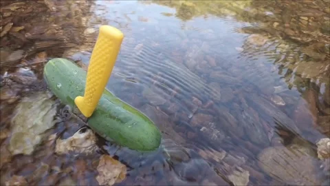 Cucumber and Knife Floating in River Stock Footage 338362110