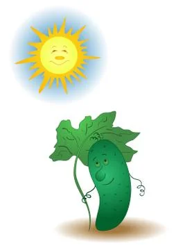 Cucumber and sun Stock Illustration
