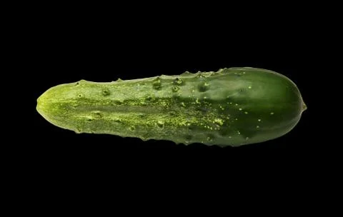 A cucumber on a black background Stock Photos