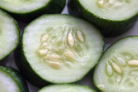 Cucumber chopped circles Stock Photos