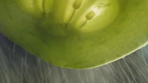 Cucumber close-up macro. Slice fresh cucumbers vegetable texture background Stock Footage 260414073