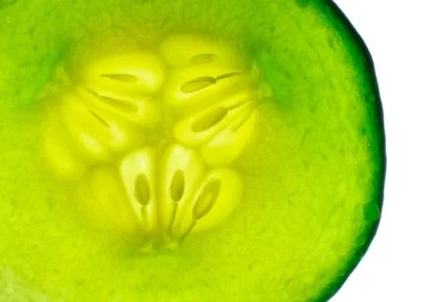 Cucumber close up Stock Photos