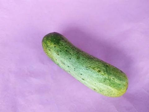 Cucumber on colour background Stock Photos