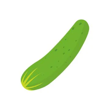 Cucumber. Cucumber on white background. Stock Illustration