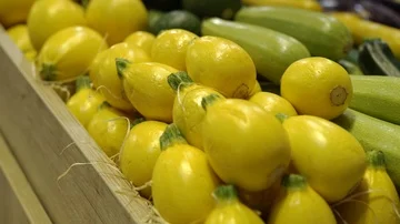 Cucumber, different types Stock Footage 85715118