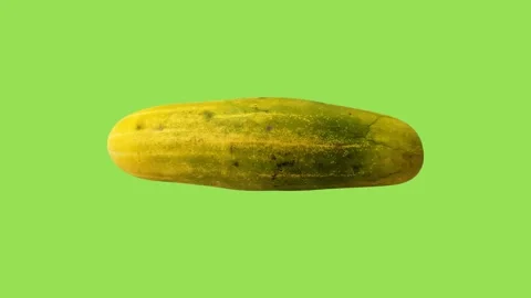 Cucumber fruit or vegetable, timun or ketimun Stock Footage 317211907