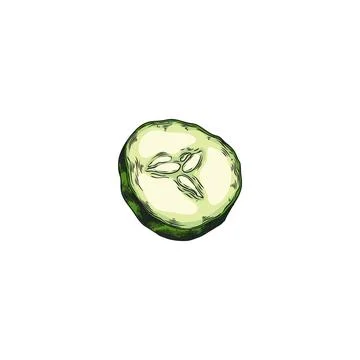 Cucumber half vector illustration Stock Illustration