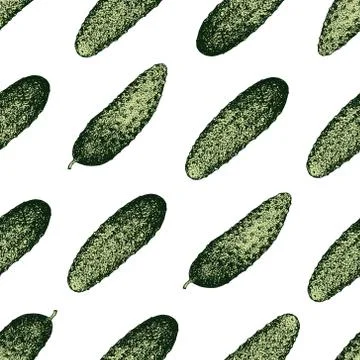 Cucumber hand drawn vector seamless pattern. Retro Vegetable engraved style Stock Illustration