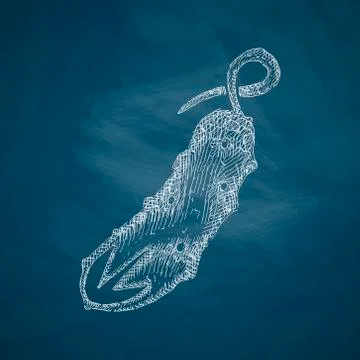 Cucumber icon Ilustración de archivo