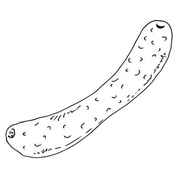 Cucumber icon. Stock Illustration