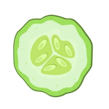 Cucumber icon with round slice and wedge. Flat illustration of ripe green Stock Illustration