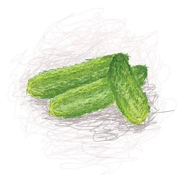 Cucumber Stock Illustration