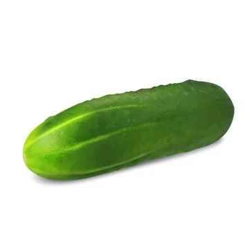 Cucumber Stock Illustration