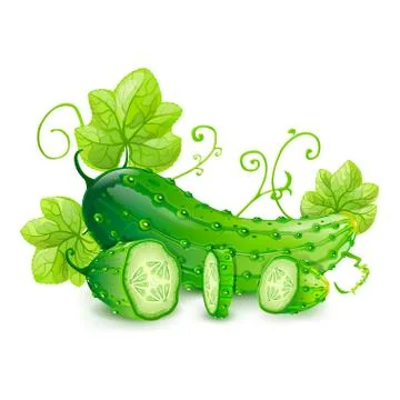 Cucumber Stock Illustration