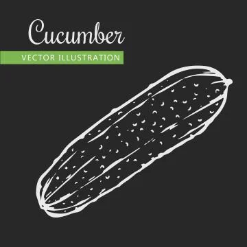 Cucumber Stock Illustration