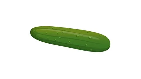 Cucumber Stock Illustration