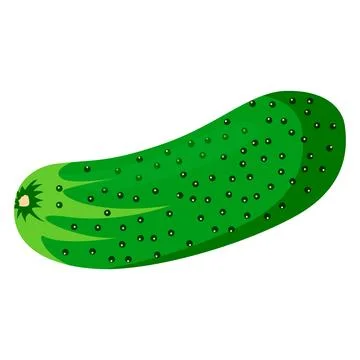 Cucumber illustration vector isolated on white background Stock Illustration