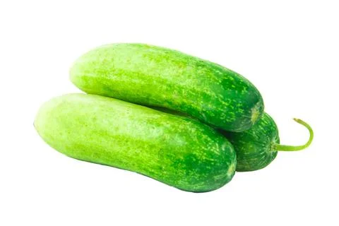 Cucumber on  isolated  background Clipping path Stock Photos