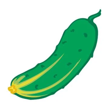 Cucumber. Isolated object. Vector Image. Stock Illustration