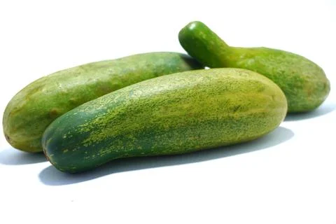 Cucumber isolated Stock Photos