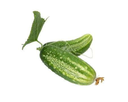Cucumber isolated Stock Photos