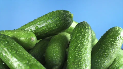 Cucumber isolated rotating on blue background Video stock 62403609