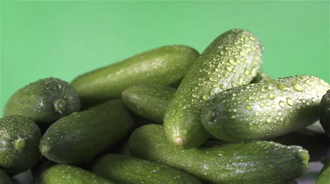 Cucumber isolated rotating on green background Stock Footage 62404442