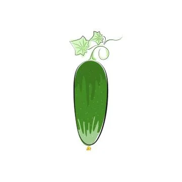Cucumber Isolated on White Background Illustrazione stock