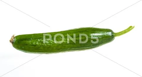 Cucumber isolated on white background Stock Photos