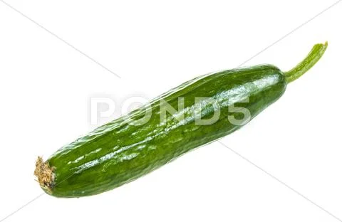 Cucumber isolated on white background Stock Photos