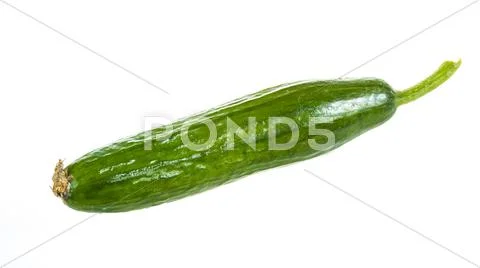 Cucumber isolated on white background Stock Photos