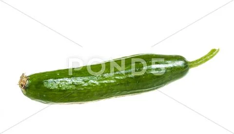 Cucumber isolated on white background Stock Photos