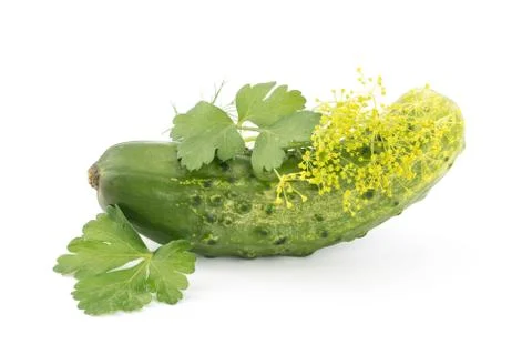 Cucumber isolated on white background Stock Photos